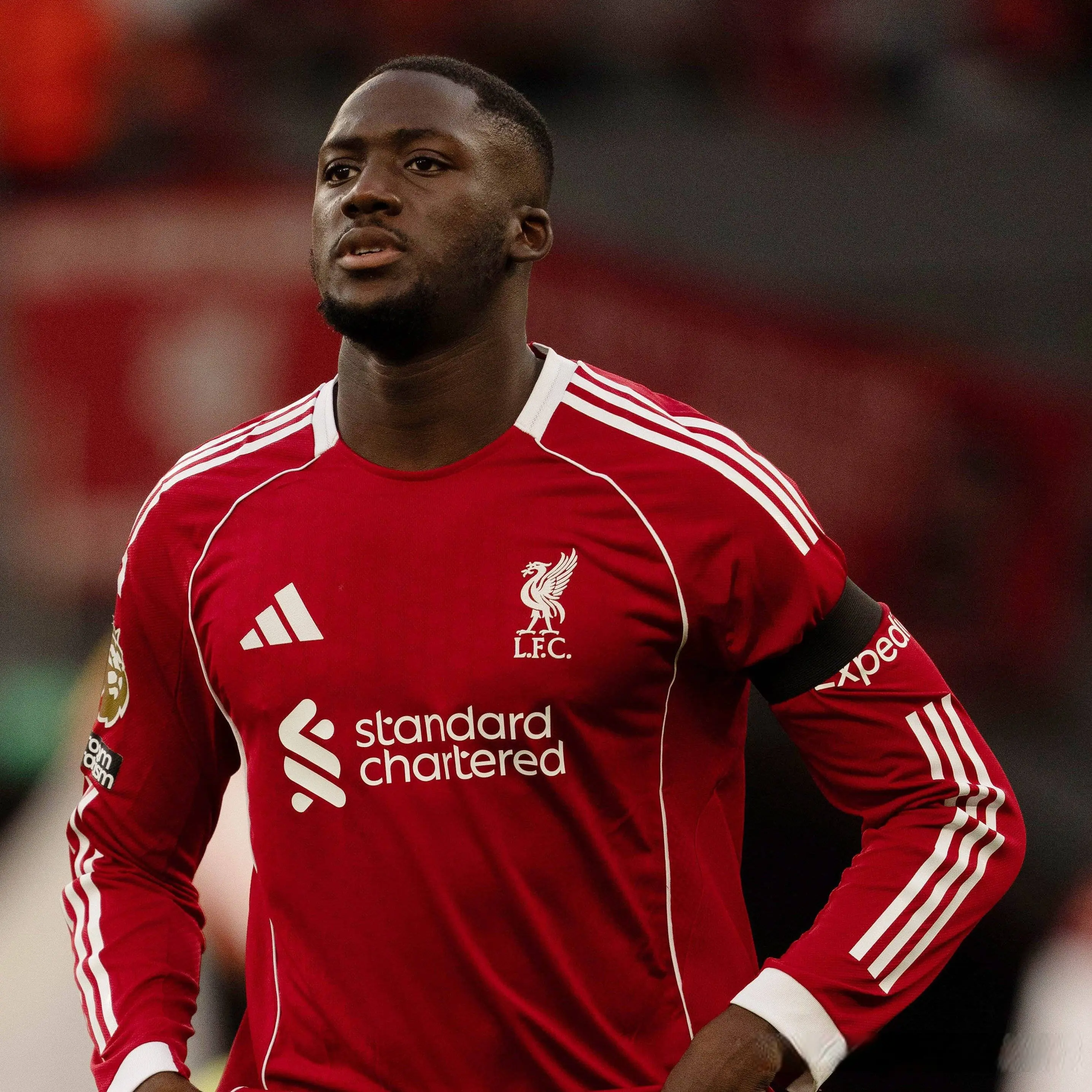 img, 由于表现不