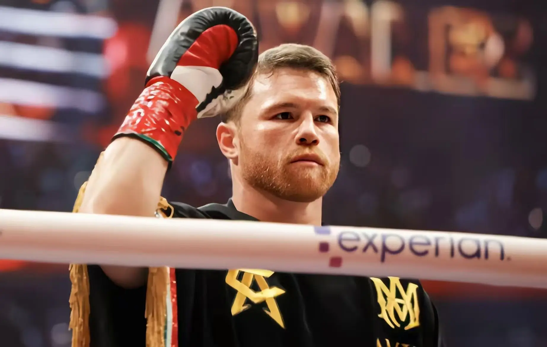 辉煌, 谢尔德兹说